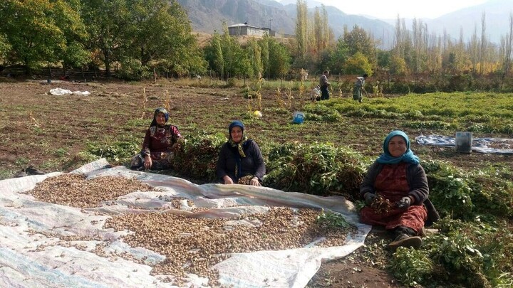 زنان روستایی