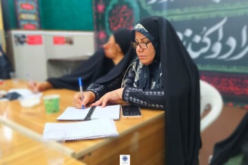 کارگاه آموزشی مربی همیاران اجتماعی استان کرمان برگزار شد + تصاویر