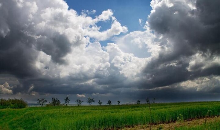 سازمان هواشناسی