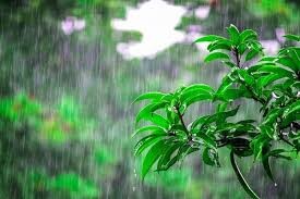 بارش‌های رگباری در ۳ روز آینده در جنوب کشور/ تداوم بارش در ۱۰ استان