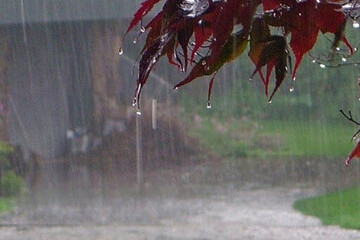 بارش باران در نیمه شمالی و وزش باد شدید در برخی استان‌های کشور
